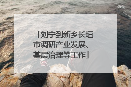刘宁到新乡长垣市调研产业发展、基层治理等工作
