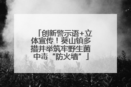 创新警示语+立体宣传！葵山镇多措并举筑牢野生菌中毒“防火墙”