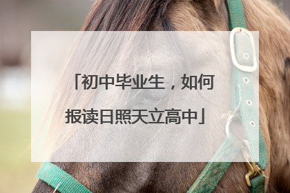 初中毕业生，如何报读日照天立高中