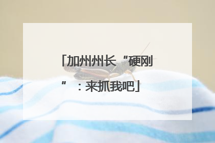 加州州长“硬刚”：来抓我吧
