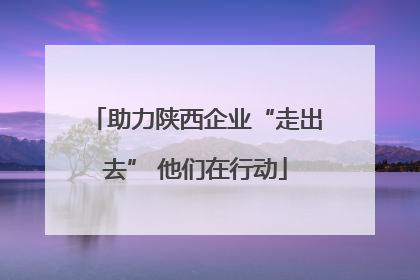 助力陕西企业“走出去” 他们在行动