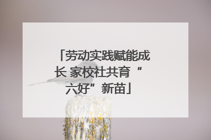 劳动实践赋能成长 家校社共育“六好”新苗