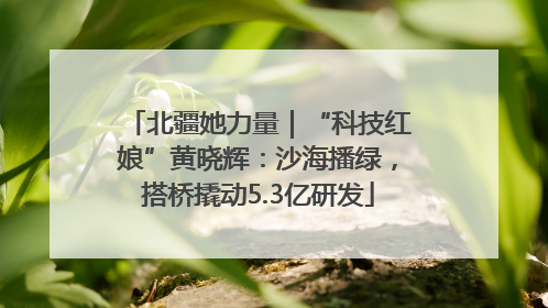 北疆她力量｜“科技红娘”黄晓辉：沙海播绿，搭桥撬动5.3亿研发