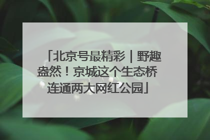 北京号最精彩｜野趣盎然！京城这个生态桥连通两大网红公园
