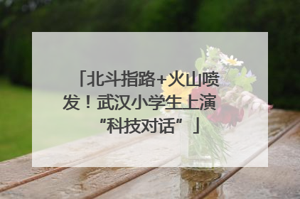 北斗指路+火山喷发！武汉小学生上演“科技对话”