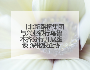 北新路桥集团与兴业银行乌鲁木齐分行开展座谈 深化银企协同发展
