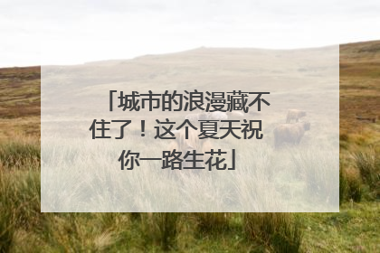 城市的浪漫藏不住了！这个夏天祝你一路生花