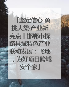 坚定信心 勇挑大梁·产业新亮点丨邯郸市探路县域特色产业联动发展：飞地，为好项目跨域安个家