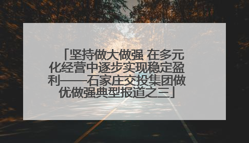 坚持做大做强 在多元化经营中逐步实现稳定盈利——石家庄交投集团做优做强典型报道之三