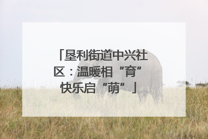 垦利街道中兴社区：温暖相“育” 快乐启“萌”