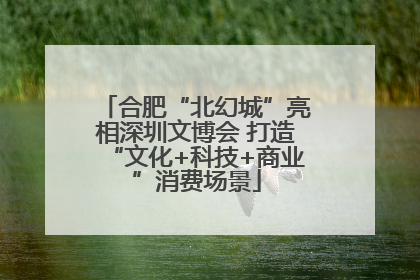 合肥“北幻城”亮相深圳文博会 打造“文化+科技+商业”消费场景