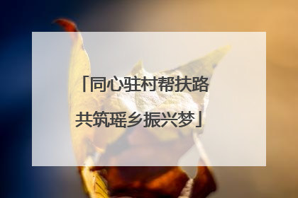 同心驻村帮扶路 共筑瑶乡振兴梦