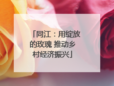 同江：用绽放的玫瑰 推动乡村经济振兴