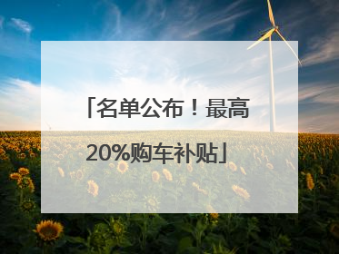 名单公布！最高20%购车补贴