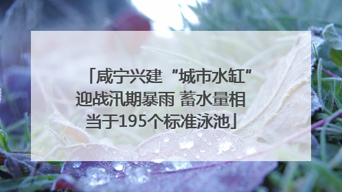 咸宁兴建“城市水缸”迎战汛期暴雨 蓄水量相当于195个标准泳池