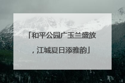 和平公园广玉兰盛放，江城夏日添雅韵