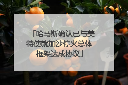 哈马斯确认已与美特使就加沙停火总体框架达成协议