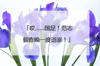 哎……国足！范志毅昨晚一度语塞！