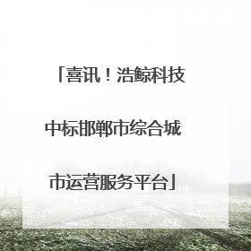 喜讯！浩鲸科技中标邯郸市综合城市运营服务平台