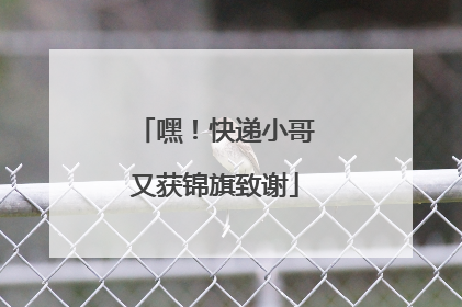 嘿！快递小哥又获锦旗致谢