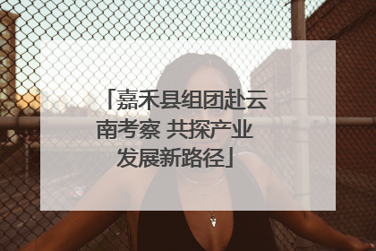 嘉禾县组团赴云南考察 共探产业发展新路径