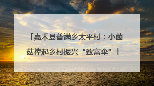 嘉禾县普满乡太平村：小菌菇撑起乡村振兴“致富伞”