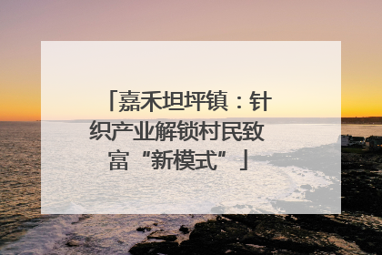 嘉禾坦坪镇：针织产业解锁村民致富“新模式”