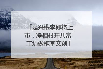 嘉兴槜李即将上市，净相村开共富工坊做槜李文创