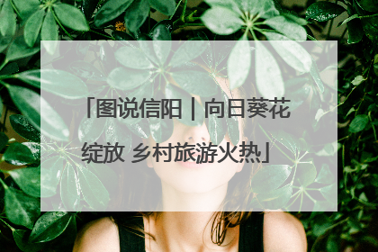 图说信阳｜向日葵花绽放 乡村旅游火热