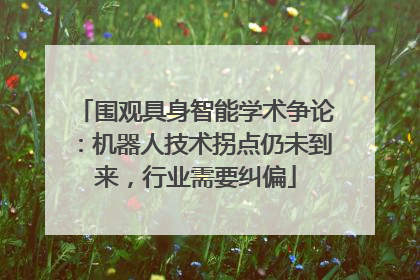 围观具身智能学术争论：机器人技术拐点仍未到来，行业需要纠偏