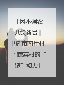 固本强农 共绘新景 ︳卫辉市南社村：蔬菜村的“链”动力