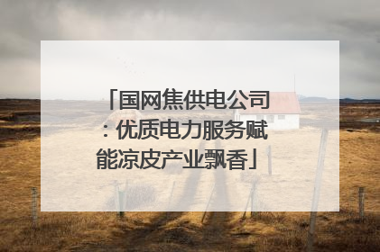 国网焦供电公司：优质电力服务赋能凉皮产业飘香