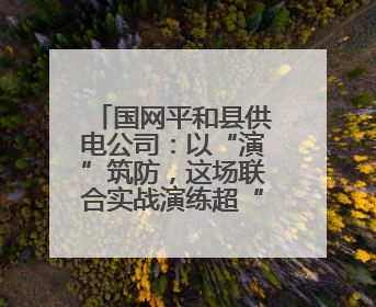 国网平和县供电公司：以“演”筑防，这场联合实战演练超“硬核”