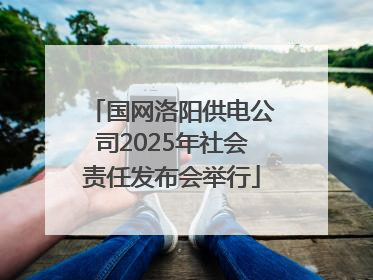 国网洛阳供电公司2025年社会责任发布会举行