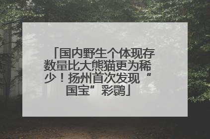 国内野生个体现存数量比大熊猫更为稀少！扬州首次发现“国宝”彩鹮