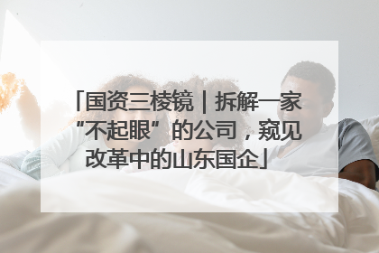 国资三棱镜｜拆解一家“不起眼”的公司，窥见改革中的山东国企