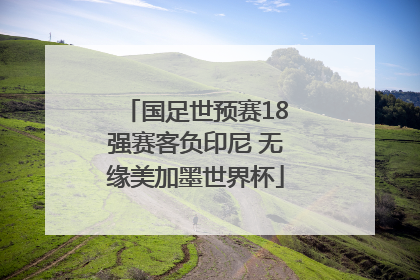 国足世预赛18强赛客负印尼 无缘美加墨世界杯