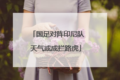 国足对阵印尼队 天气或成拦路虎
