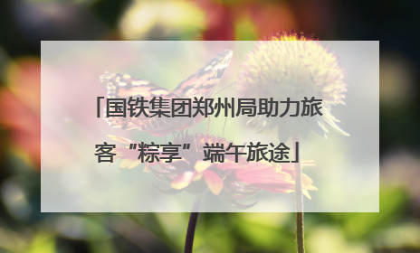 国铁集团郑州局助力旅客“粽享”端午旅途
