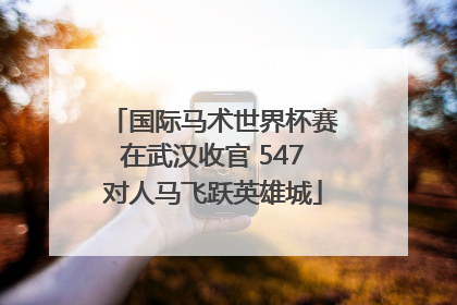 国际马术世界杯赛在武汉收官 547对人马飞跃英雄城