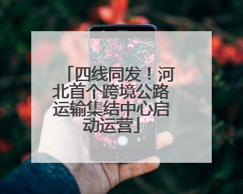 四线同发！河北首个跨境公路运输集结中心启动运营
