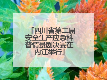 四川省第二届安全生产应急科普情景剧决赛在内江举行