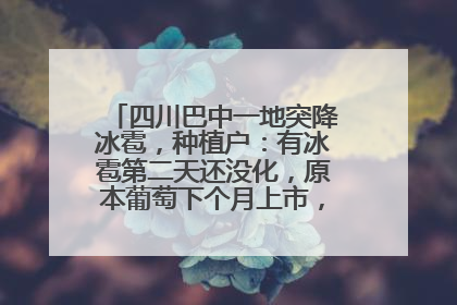 四川巴中一地突降冰雹，种植户：有冰雹第二天还没化，原本葡萄下个月上市，现在全被打落