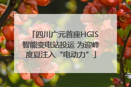 四川广元首座HGIS智能变电站投运 为迎峰度夏注入“电动力”