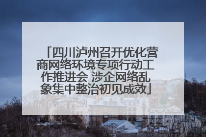 四川泸州召开优化营商网络环境专项行动工作推进会 涉企网络乱象集中整治初见成效