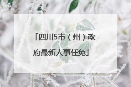 四川5市（州）政府最新人事任免