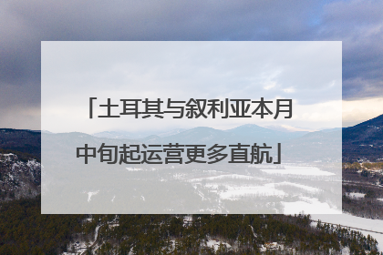 土耳其与叙利亚本月中旬起运营更多直航