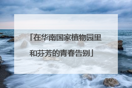 在华南国家植物园里和芬芳的青春告别