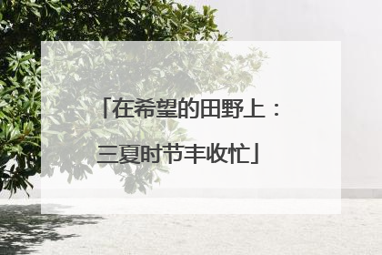 在希望的田野上：三夏时节丰收忙