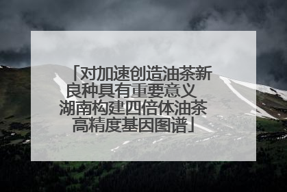 对加速创造油茶新良种具有重要意义 湖南构建四倍体油茶高精度基因图谱